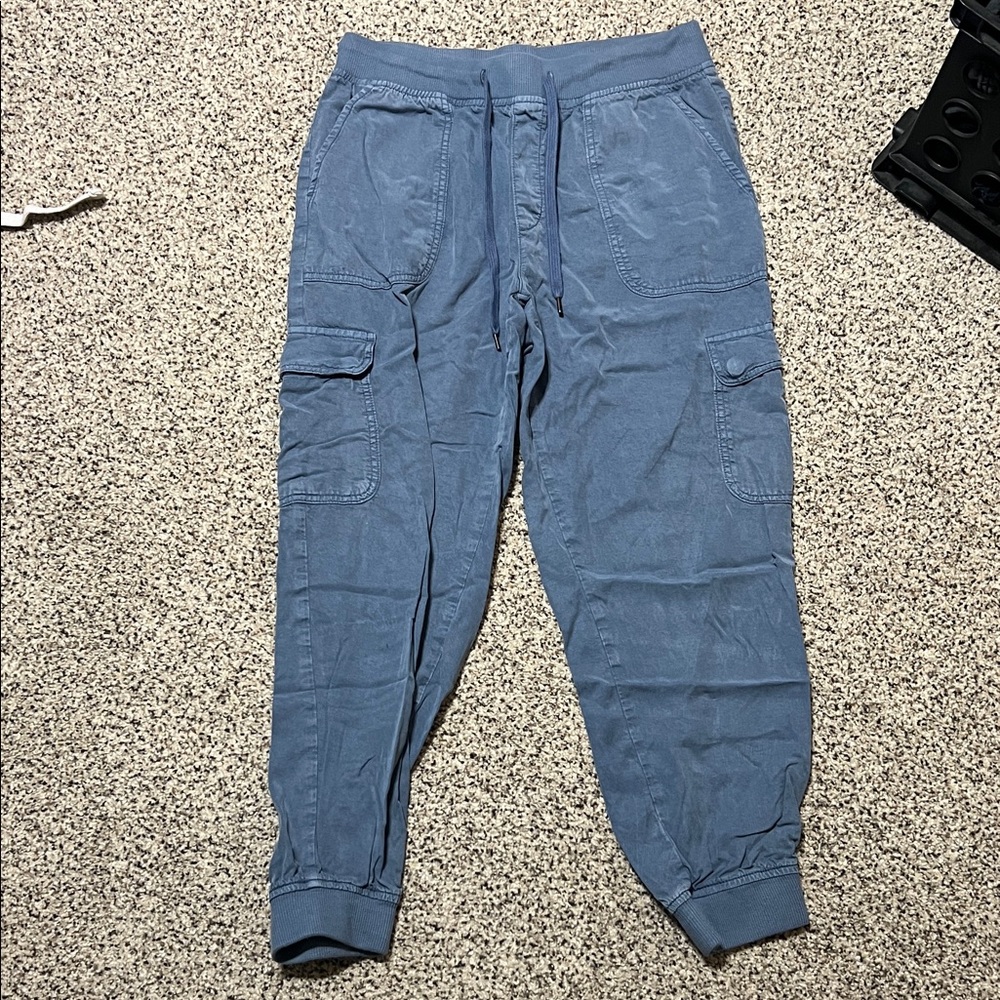 American Eagle Outfitters Slate Blue Joggers